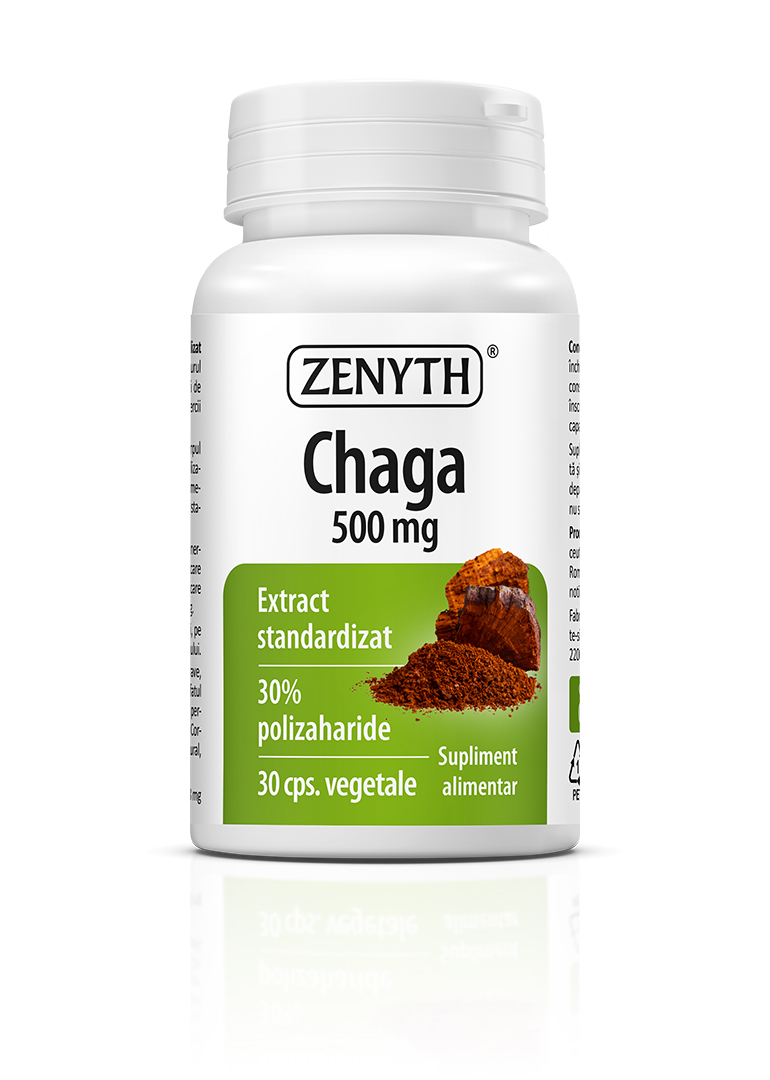 Chaga 500 mg, 30 capsules - Image 2