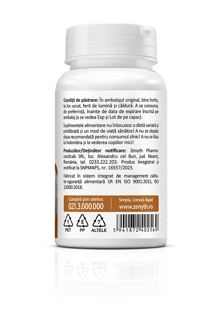 Lion’s Mane 500 mg, 60 capsules - Image 4